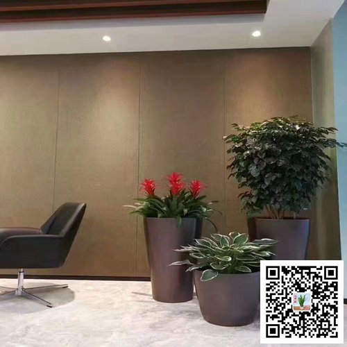 南京玄武區(qū)案例