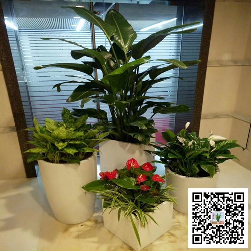 南京玄武區(qū)案例